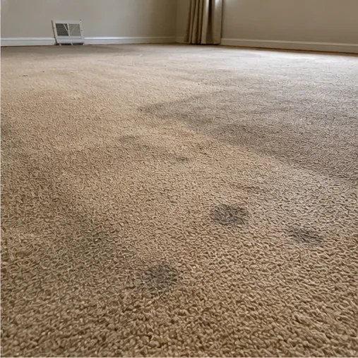 Water staining and discoloration on bedroom carpet found during a Stewart home inspection